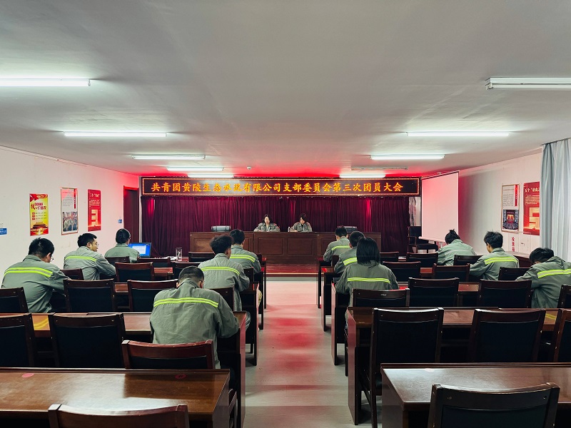 黃陵公司團(tuán)支部換屆工作圓滿(mǎn)完成